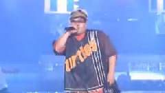 乌龟组合 - 四季