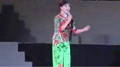 王二妮 - 爱陕北