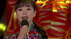 王二妮 - 山丹丹开花红艳艳