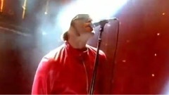 Cigarettes & Alcohol