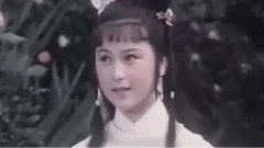 朱逢博 - 两情真 心相印