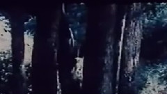 蔡秋凤 - 酒落喉