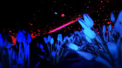 Faruk Sabanci - Elveda