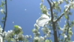 What A Wonderful World