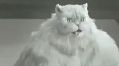 Прикольная реклама с Котэ!!