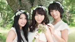 思い出せない花