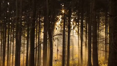 Michel Pépé,音乐短片 - Lumiere Mystique