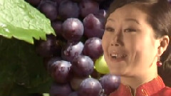 宋娜 - 我们的家