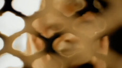 Enigma - Callas Went Away