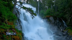 BLISS - Remember My Name 饭制版