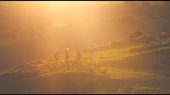 MAYFAIR NIGHTS BY HOUSE OF VERUM