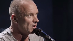 Sting - What Say You Meg?