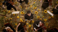 Lorde,One Direction,Chris Martin,Pharrell Williams,Sam Smith - God Only Knows