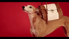 Fashion Major Suit Trussardi 2014