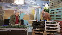 What's Up - Tanar Si Nebun