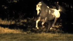 Stamatis Spanoudakis - Down At The Walls